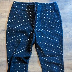 Ann Taylor Loft Marisa Skinny Petite Work Pants